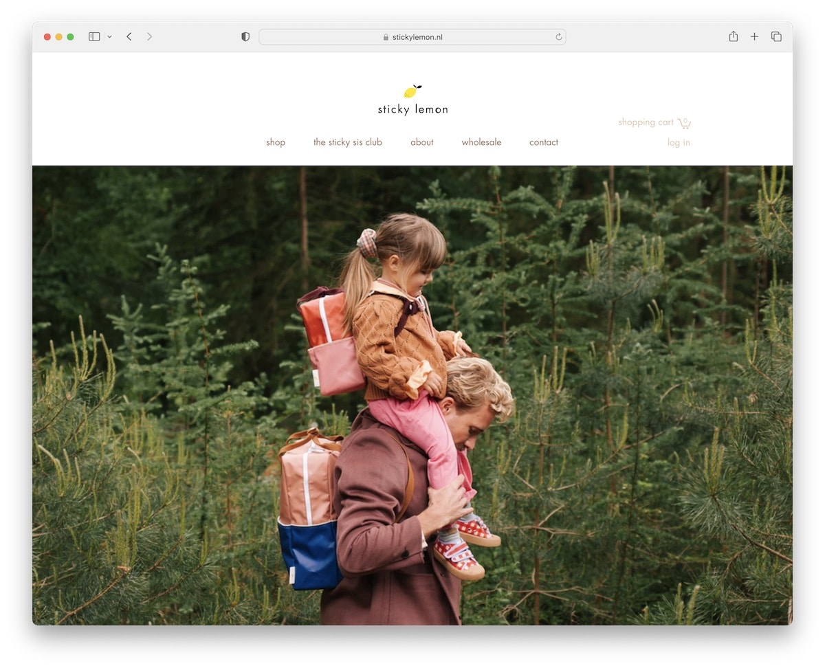 wix store examples